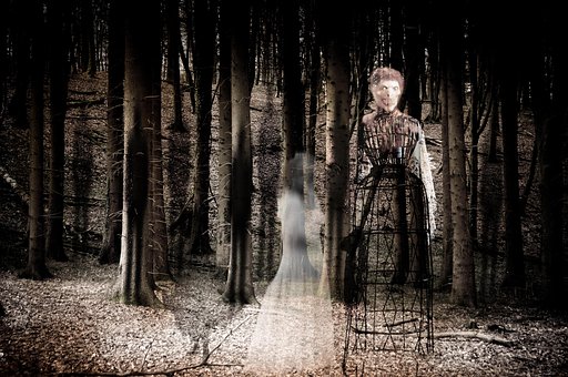 Free Ghosts Forest photo and picture