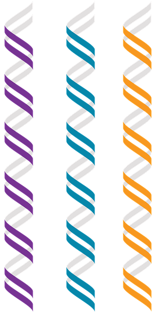 Free Z-Dna Left-Handed Double Helix vector and picture