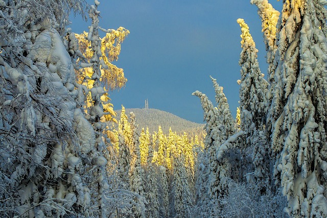 Free Winter Russia photo and picture