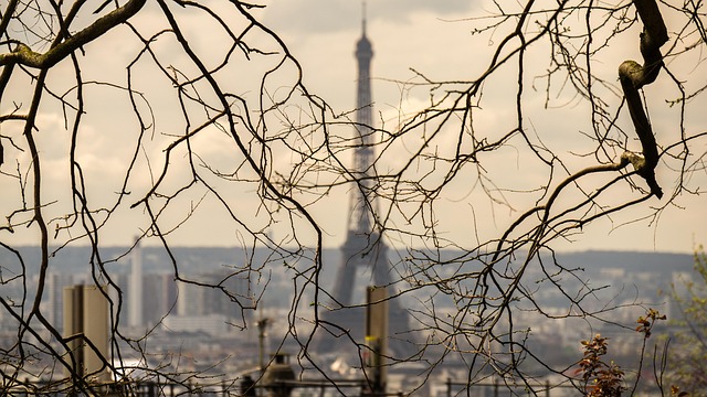 Free Paris France photo and picture