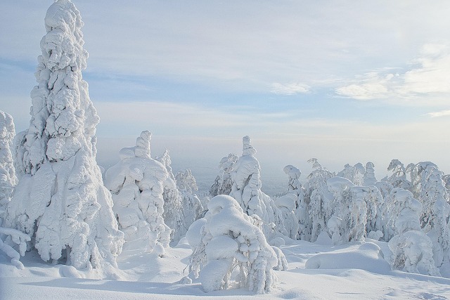 Free Winter Russia photo and picture