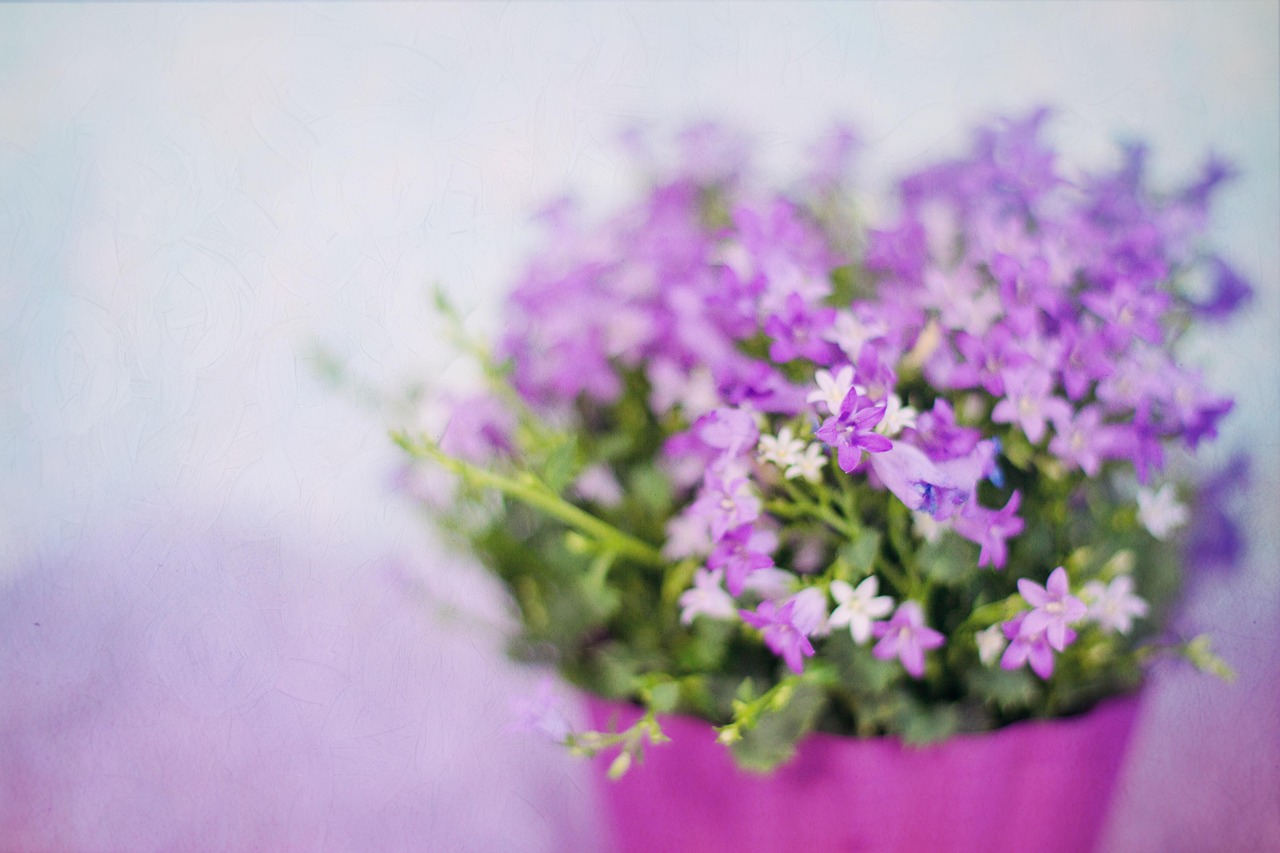 Purple Flowers - free online jigsaw puzzle photo