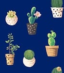 cacti, northeast, marine
