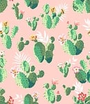 cacti, northeast, romantic