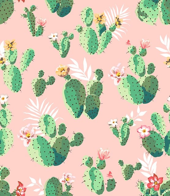 Free cactuses north east romantic illustration