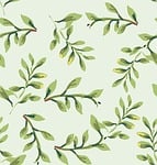 leaves, northeast, green
