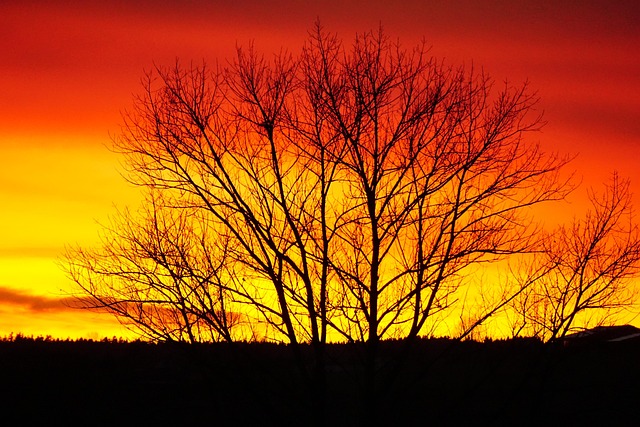Free Sunset Evening Atmosphere photo and picture