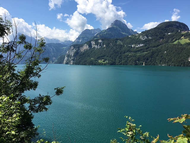 Free Lake Water photo and picture