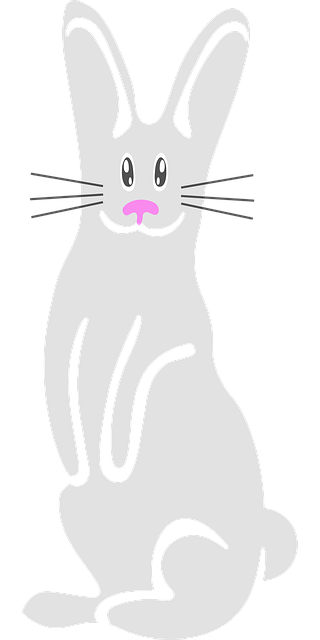 Free Bunny Rabbit vector and picture