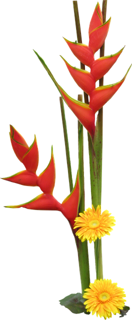 Flores, Tubos