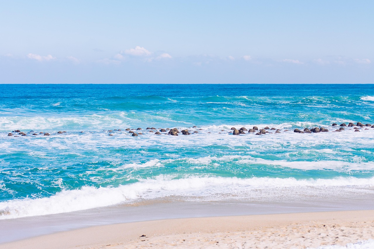 300+ Free 강릉 선자령 & Gangneung Images - Pixabay