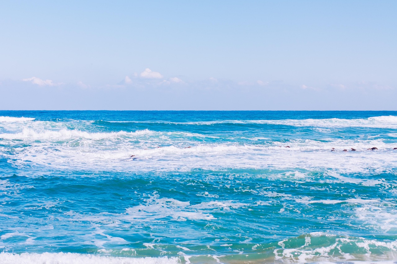 300개 이상 무료 강릉 및 자연 사진 - Pixabay