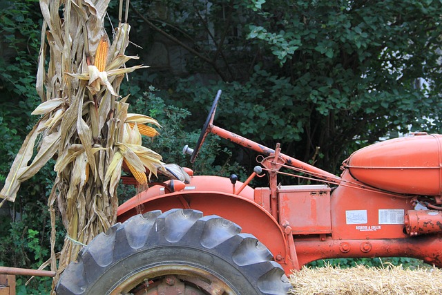 Traktor, Majsstængler, Rød Traktor