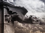 gargoyle, storm, storm ray