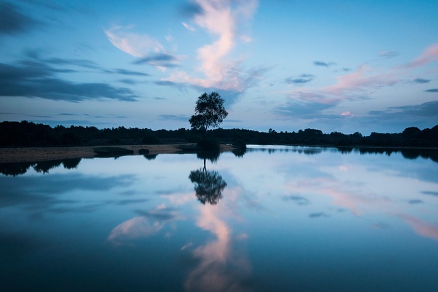 Sonnenuntergang, Baum, Himmel, Natur