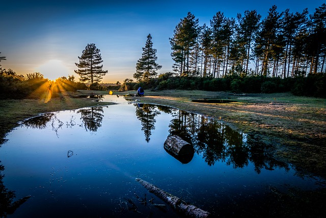 Baum, Sonnenuntergang, Natur, Landschaft