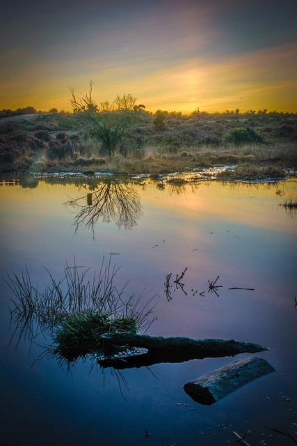 Wasser, Sonnenuntergang, Natur