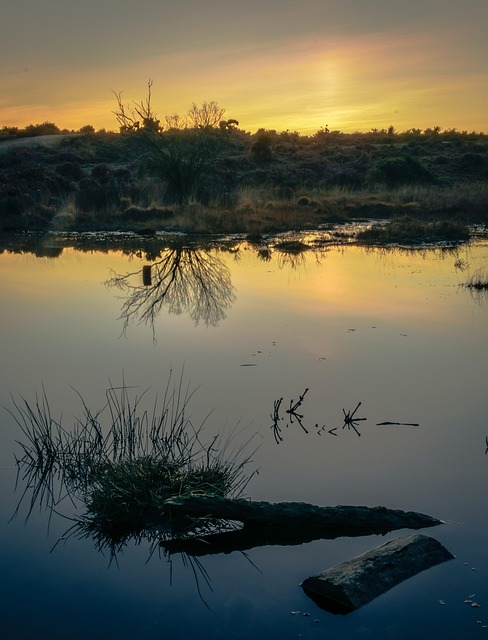 Wasser, Sonnenuntergang, Natur