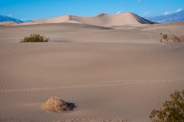 Free Sand Dune photo and picture