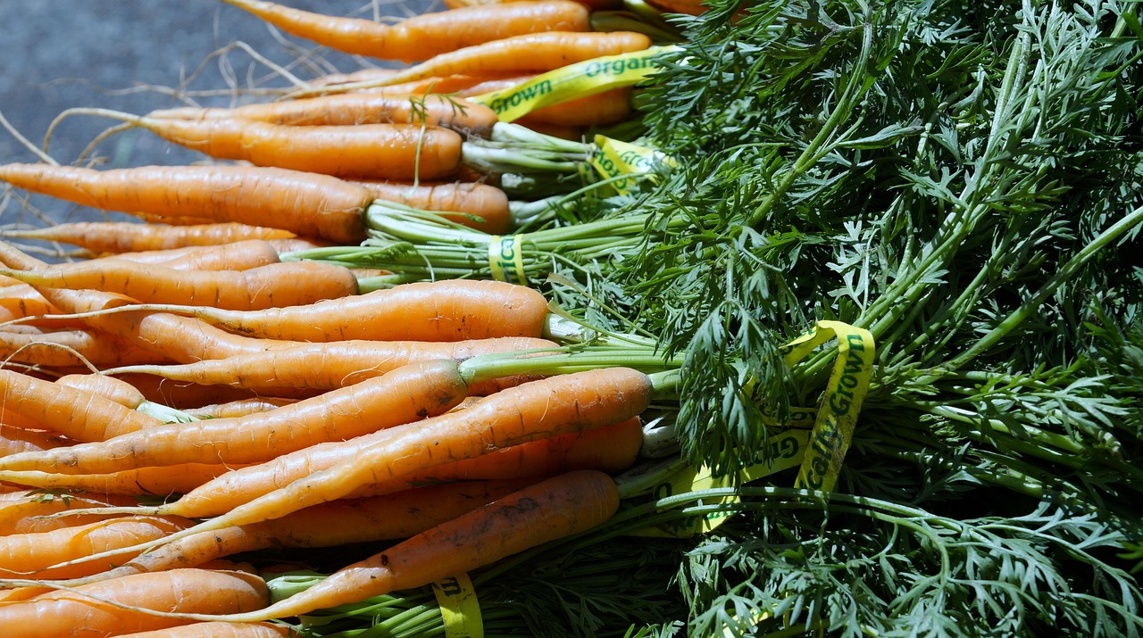 Carrot - free online jigsaw puzzle photo