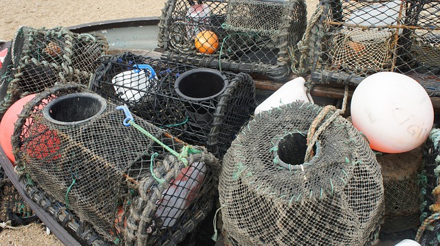 Fishing Net Fish Green - Free photo on Pixabay