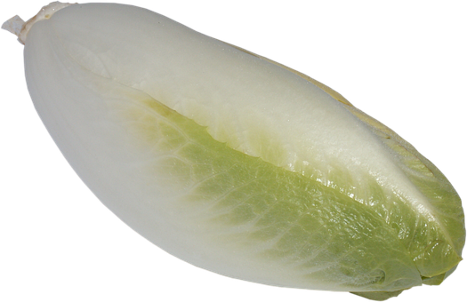 Chicorée, Gemüse, Grün, Lebensmittel