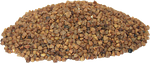 buckwheat, grain, fried grits
