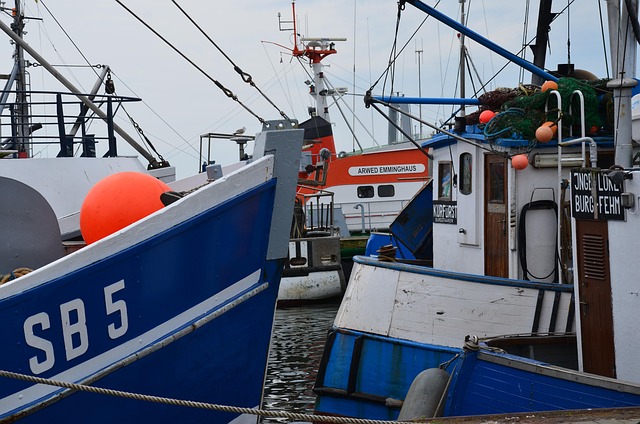 Free Boats Port photo and picture