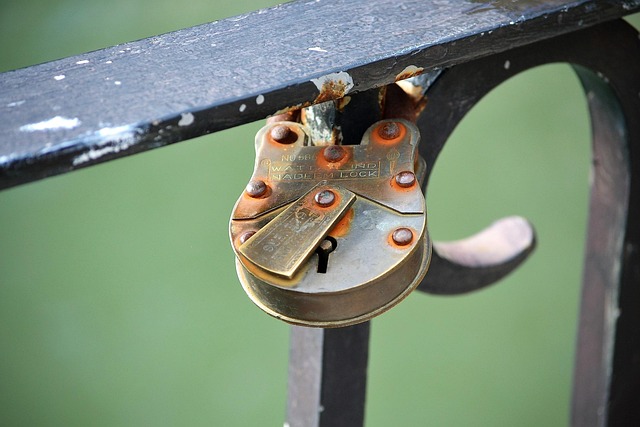 Free Padlocks Bridge photo and picture