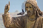 israel, jesus, bird