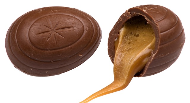 Free Chocolate Candy photo and picture