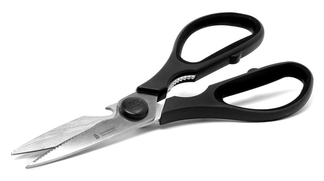 Free Scissors Cut photo and picture