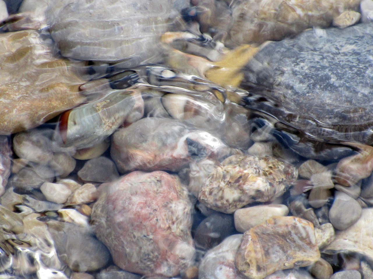 Water Stones Nature Free photo on Pixabay Pixabay