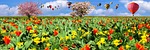 nature, spring, fly
