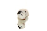 guinea pig, mirroring, white