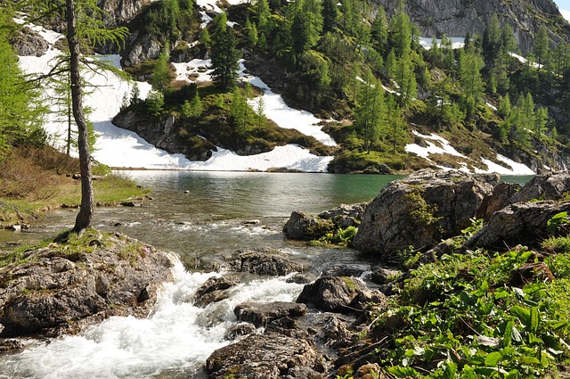 Bergsee, Bach, Tappenkarsee, Wasser