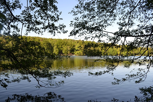 Free Schlachtensee Lake photo and picture