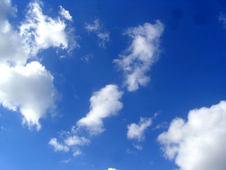 Free Nature White photo and picture