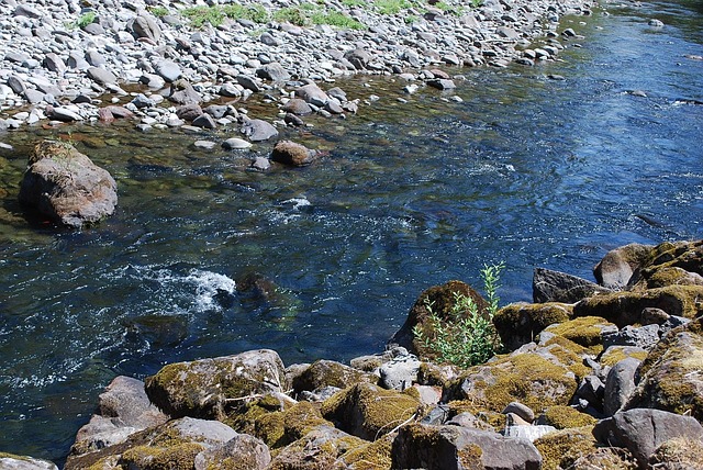 Free Salmon River Mount Hood photo and picture