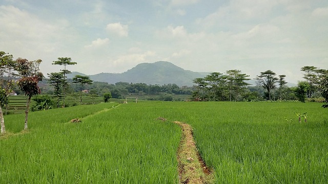 Free Green Mountain photo and picture
