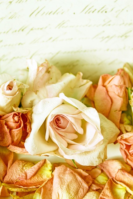 Free Roses Vintage photo and picture
