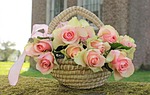 roses, noble roses, basket