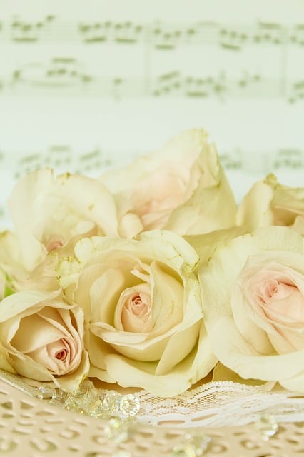 Free Roses Grades illustration and picture