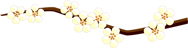 Free branch flowers white illustration