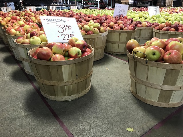 Free Apples Harvest photo and picture