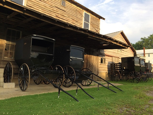 Free Amish Buggies photo and picture