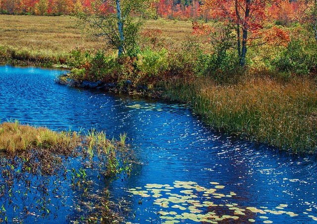 Free Maine Fall photo and picture