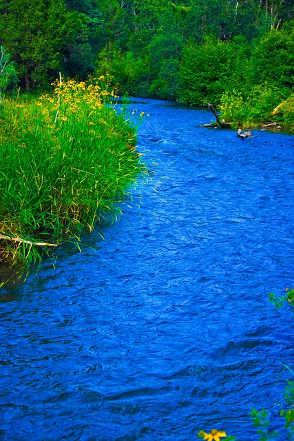 Free Mountain River photo and picture