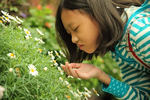 Free Smell Flower photo and picture