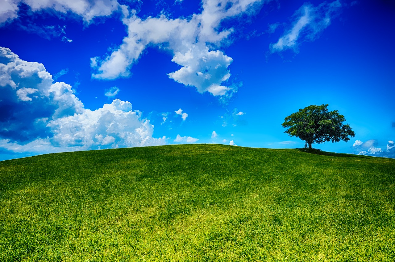 Download Hill, Tree, Landscape. RoyaltyFree Stock Illustration Image